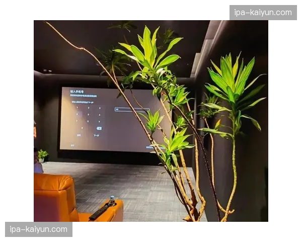 三维声场建模技术落地 观众可自由定制看台方位音效